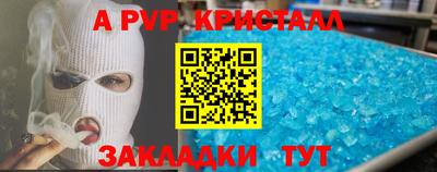 стафф Бердск