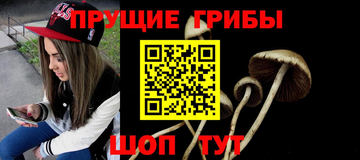 Галлюциногенные грибы мухоморы Богородицк