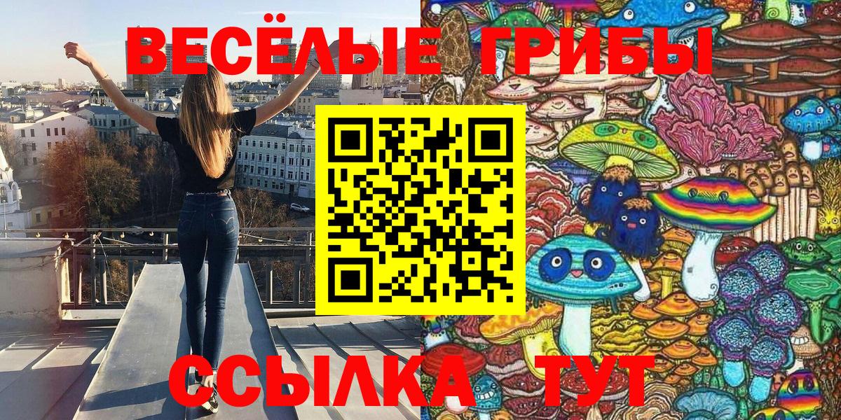 Галлюциногенные грибы мицелий  Вход с VPN  Богородицк  Галлюциногенные грибы Psilocybe 